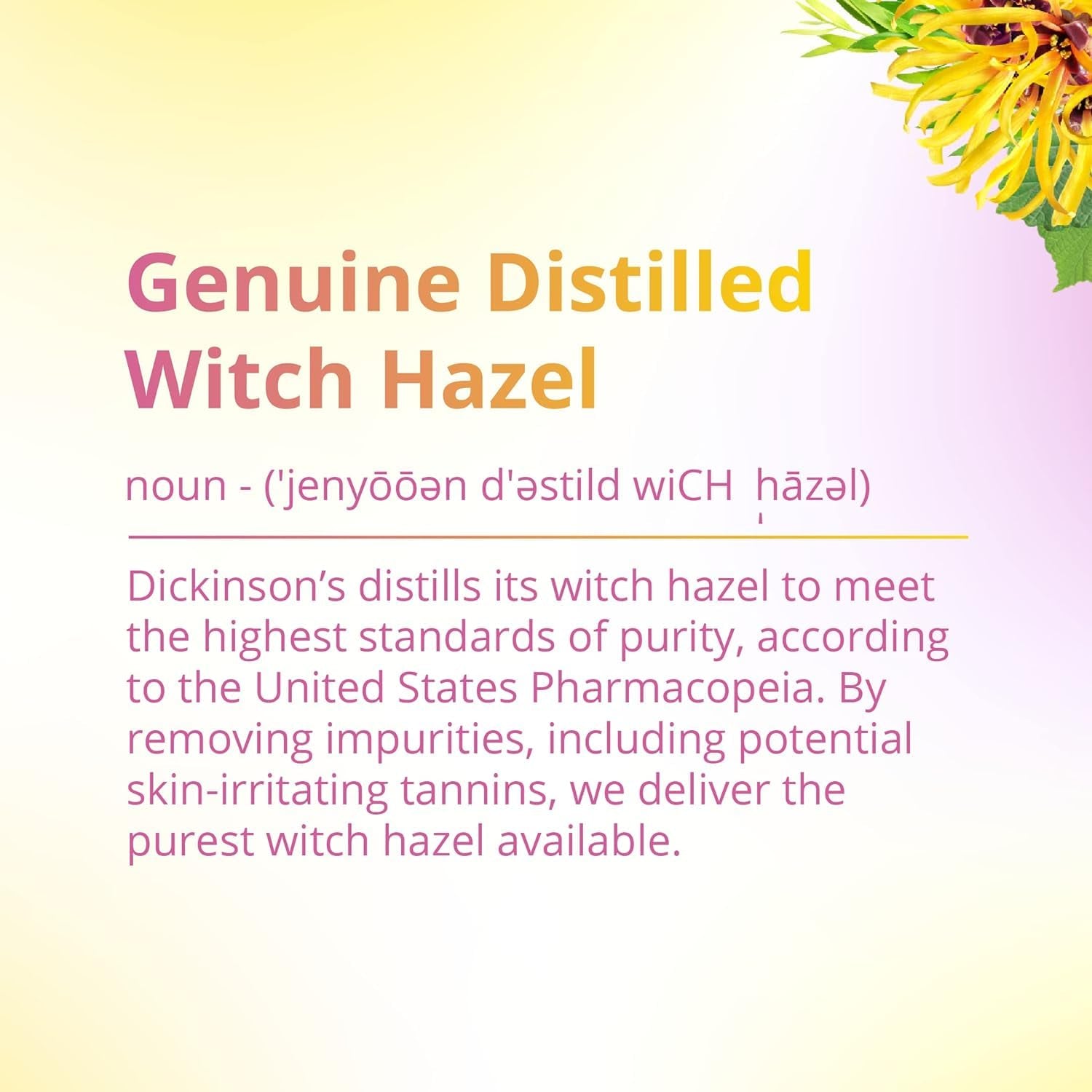 Original Witch Hazel Pore Perfecting Toner, 100% Natural, 16 Ounce Fragrance Free